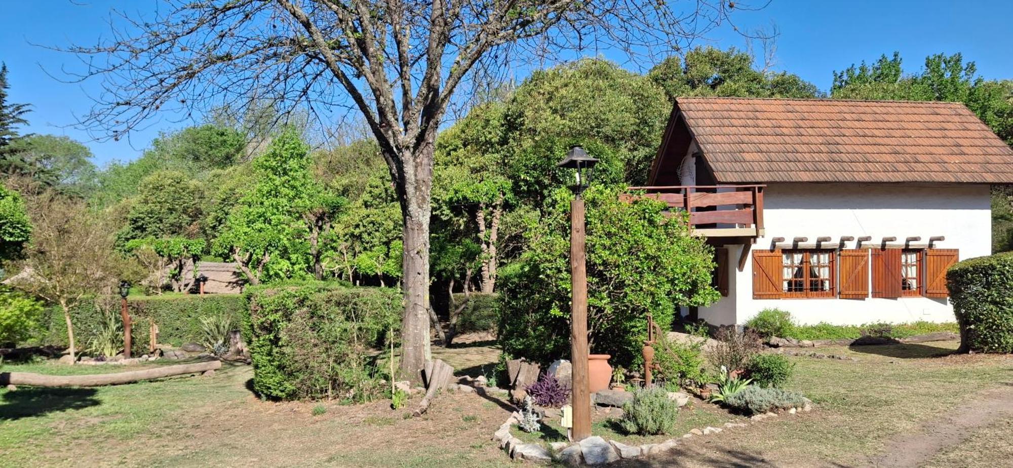 Cabanas Del Bosque Santa Rosa de Calamuchita Kültér fotó